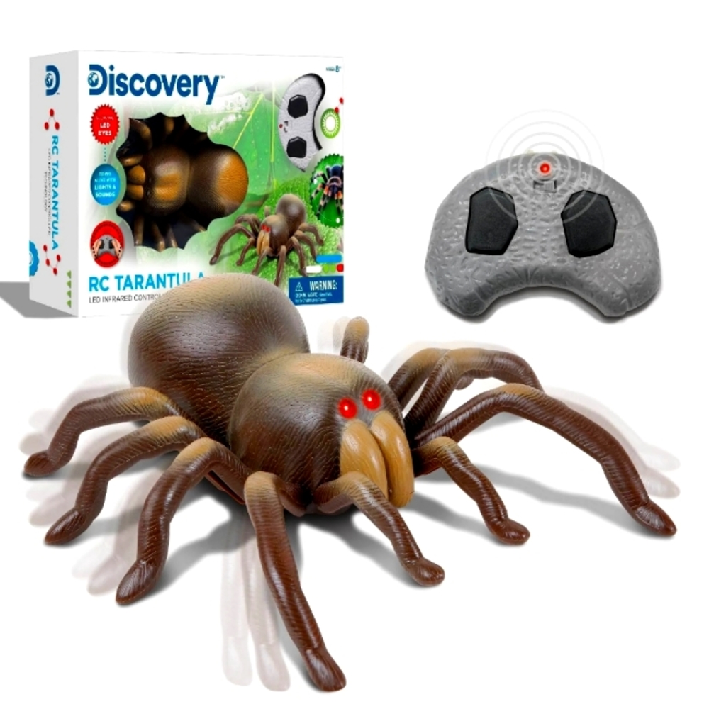 Discovery Spider